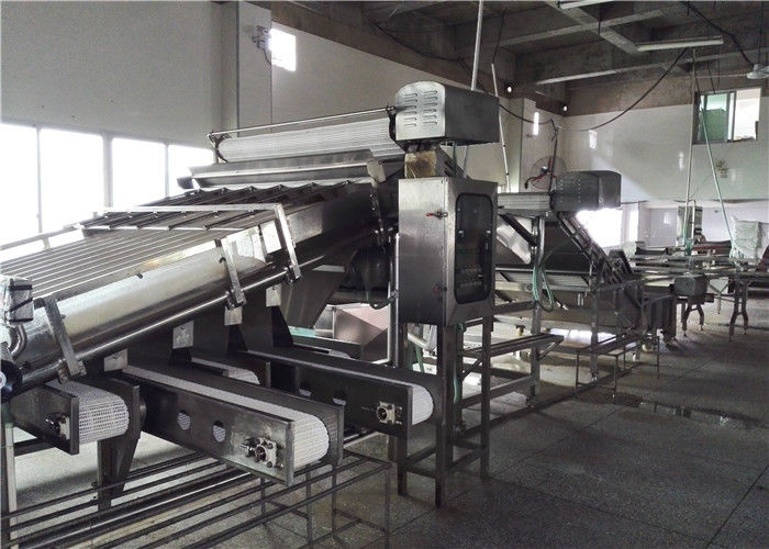 Xiamen Tongzhonghe Imp & Exp Co., Ltd. nhà sản xuất dây chuyền sản xuất